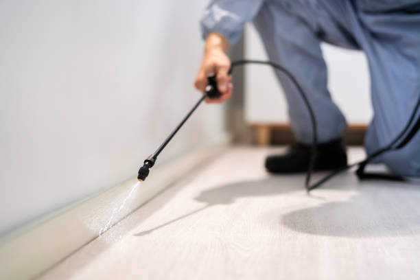 Professional exterminator conducting IPM assessment in Mount Vernon