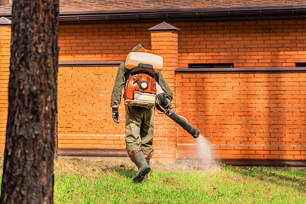 Top rated local Wasp Removal specialists in Mount Vernon, MO
